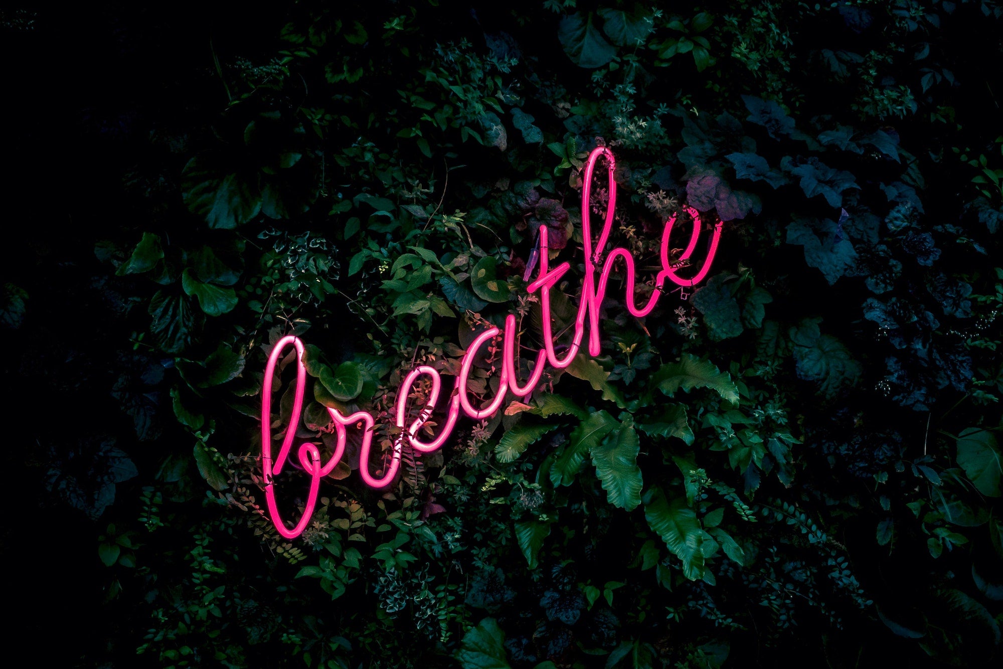 Things to Do to Calm Your Mind During this Uncertain Time