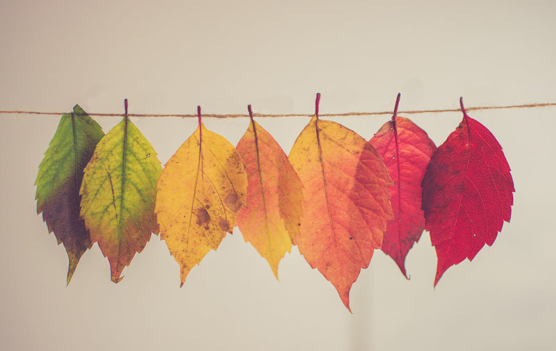 Changing your skincare routine from summer to fall